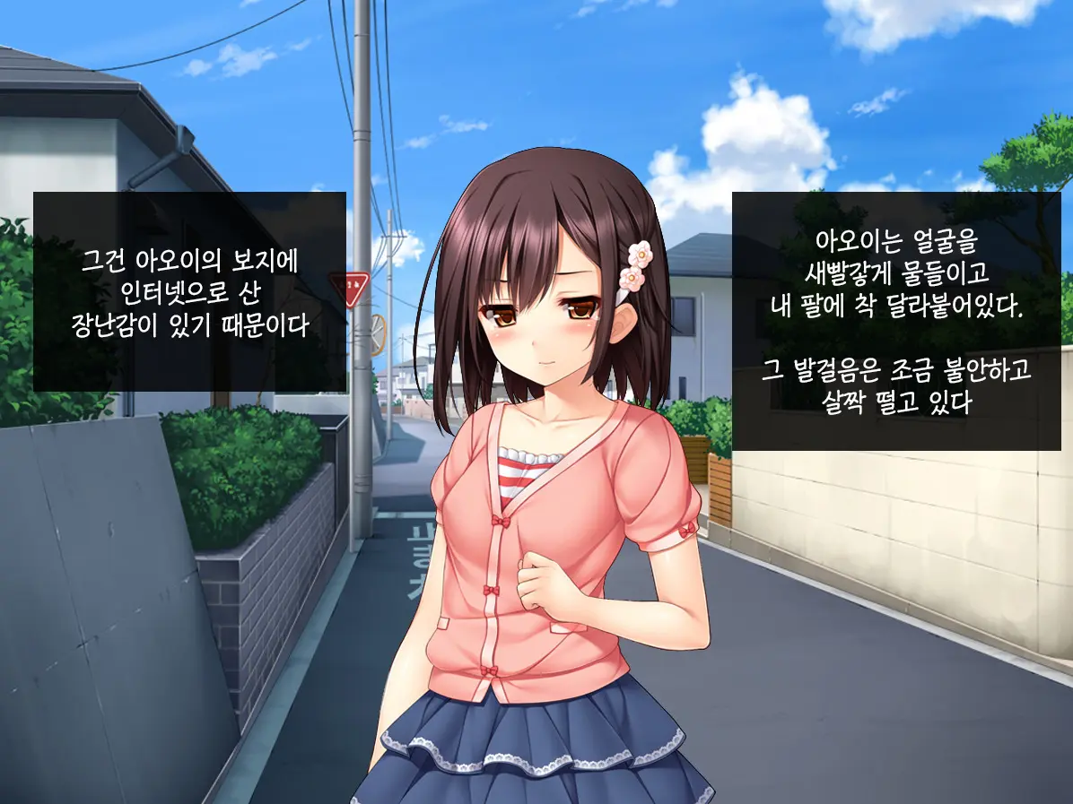 Imouto Ga Suki Sugiru Aniki Ga Kareshi Kara Netoru | 여동생을 엄청 좋아한 오빠가 남자친구에게서 여동생 빼앗기